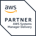 system manager
